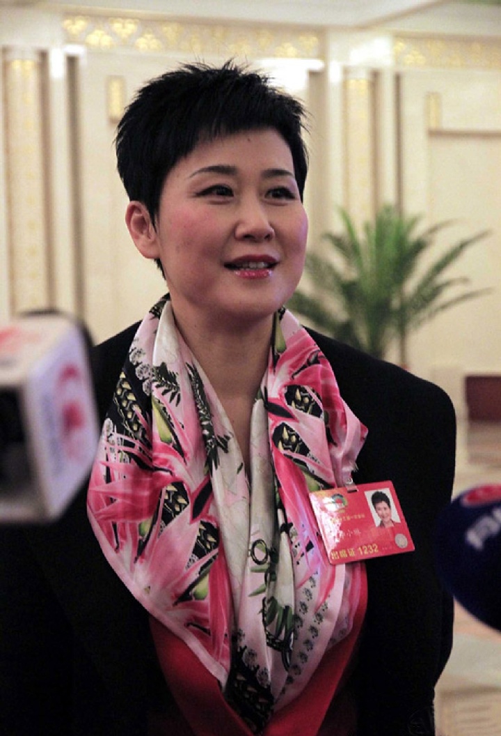 2012年的两会上‚李小琳接受媒体采访。