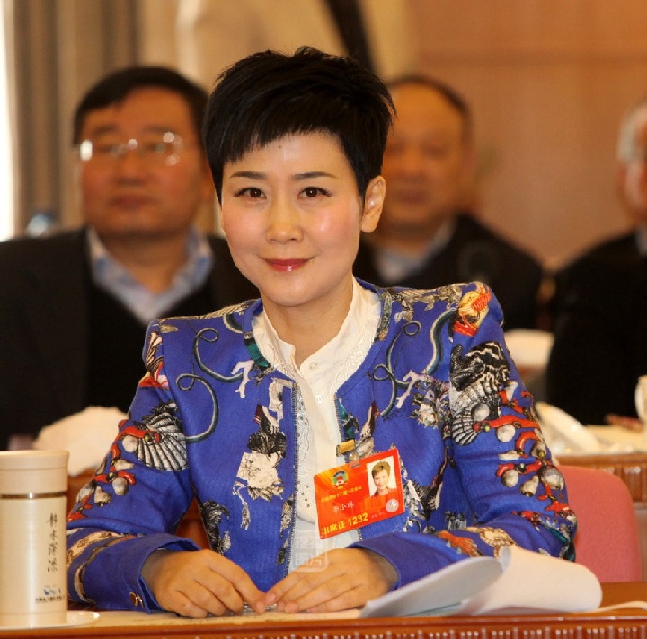 2013年3月7日两会‚北京‚全国政协委员李小琳在联组讨论上。