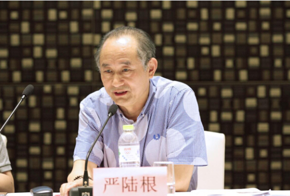 百家湖国际文化投资集团董事长严陆根先生讲话