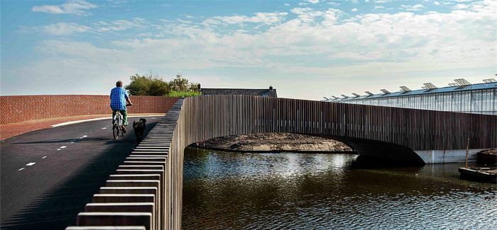 荷兰这座“蝙蝠桥”  为蝙蝠这种生物打造一个家