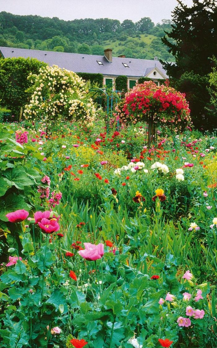 The garden at Giverny as it looks now