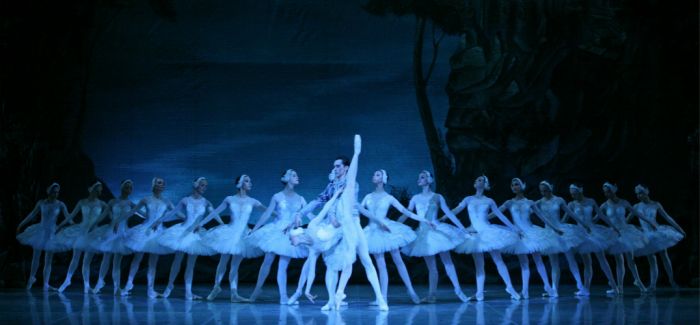 上海芭蕾舞团豪华版《天鹅湖》荷兰巡演收官 48只天鹅列阵“白色翼海”