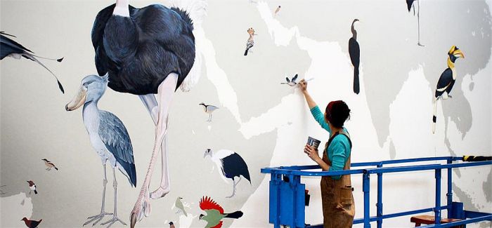 她在巨大墙面上绘制了243种栩栩如生的鸟类