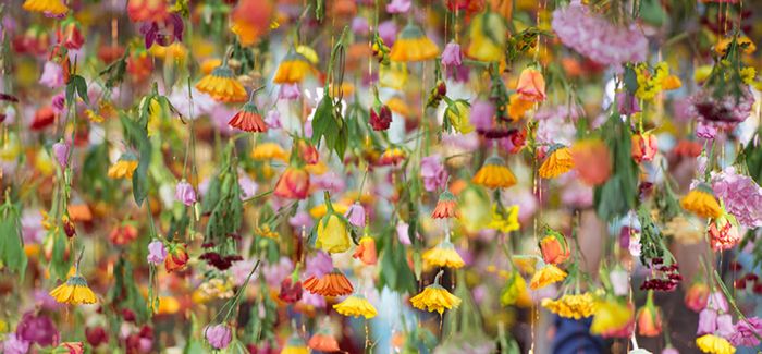 三万朵鲜花倒挂空中 伦敦艺术家许你一片浪漫花海