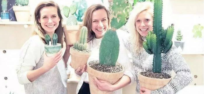 这里有你最爱的仙人掌  丹麦Kaktus København
