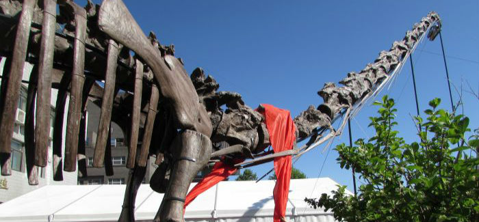 “鄯善新疆巨龙”在北京大学首届化石文化周首次亮相