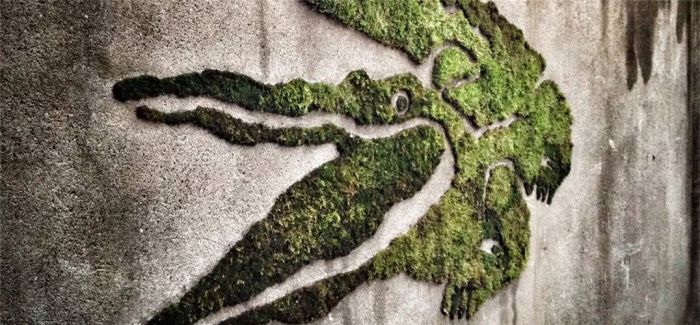 苔藓涂鸦：这也许是世界上最环保的涂鸦艺术