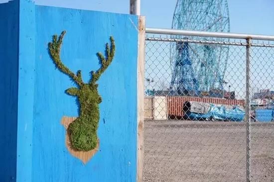 苔藓涂鸦：这也许是世界上最环保的涂鸦艺术