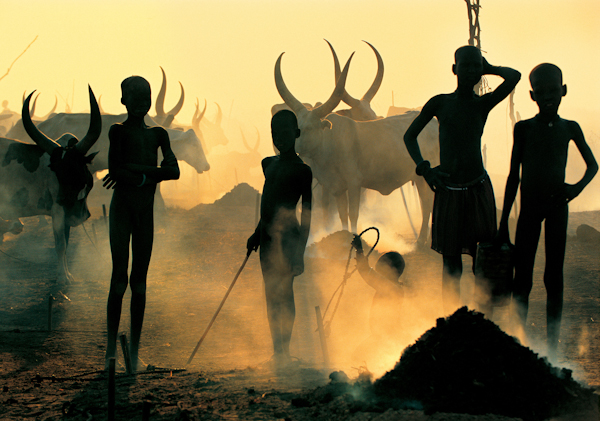 99%的人没听说过 与牛共生的神秘东非丁卡族