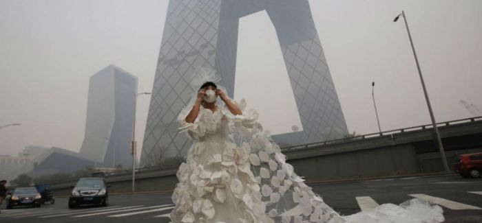 艺术家孔宁新作品“世界最大的叶子”将亮相北京