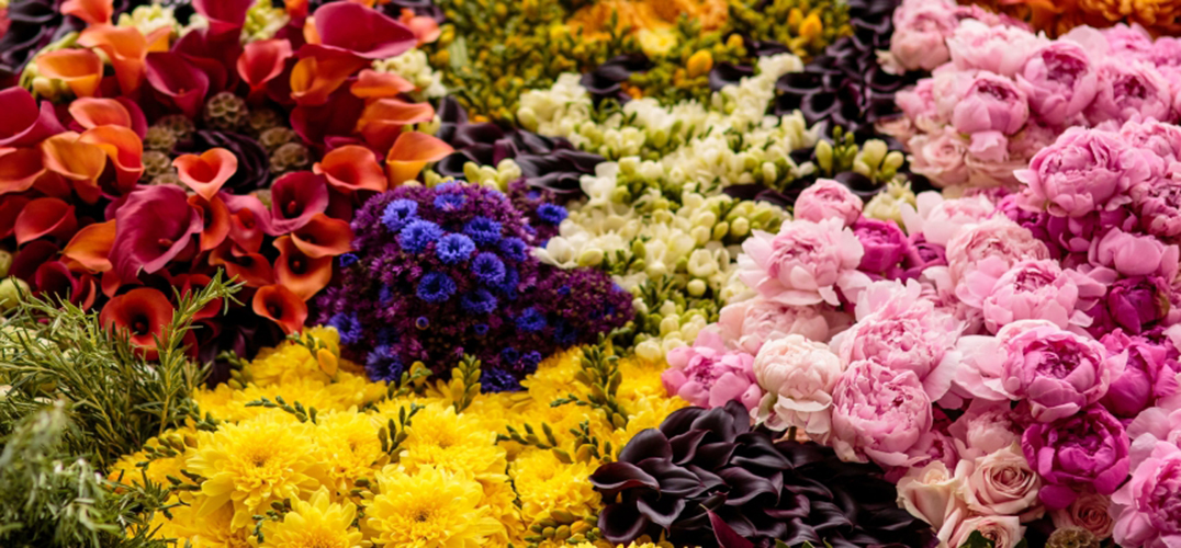 艺术永生：用26500支鲜花再现百年前盛开的油画