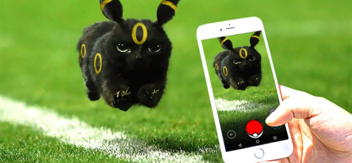 一只黑猫闯进了橄榄球比赛现场 然后......它就被网友玩坏了！