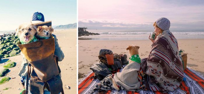 Family Camping：看完这些照片你也会想带著宠物来一场露营之旅