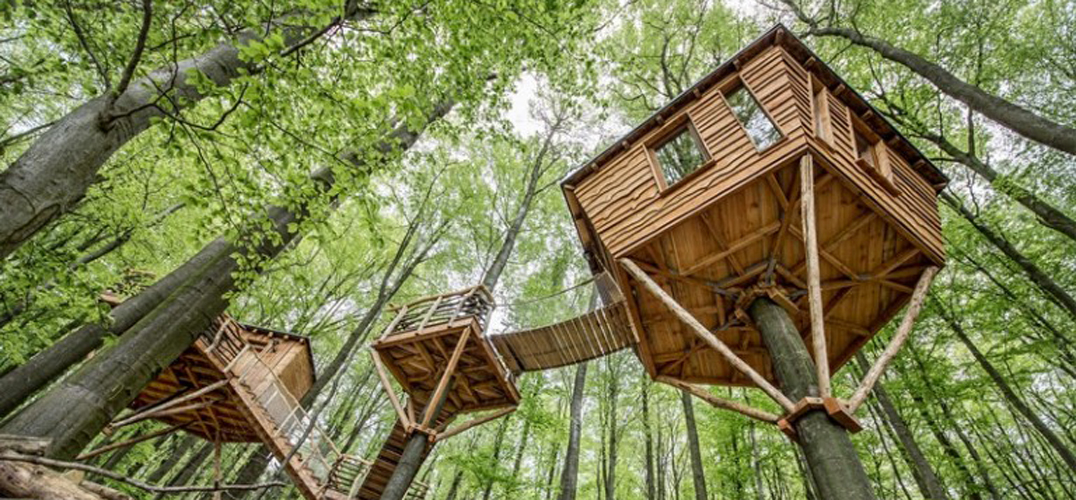 森林深处的树屋酒店:Robin’s Nest Treehouse Hotels_旅游_生活方式_凤凰艺术