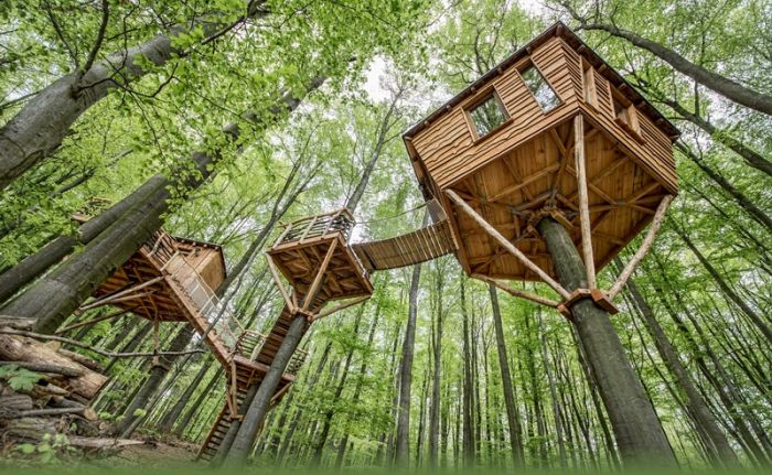 森林深处的树屋酒店:Robin’s Nest Treehouse Hotels