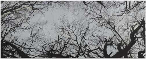 《树林》布面油画，190X500 cm 2014