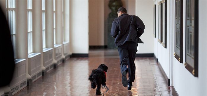 奥巴马卸任在即 2016年他最经典的15张任职照片