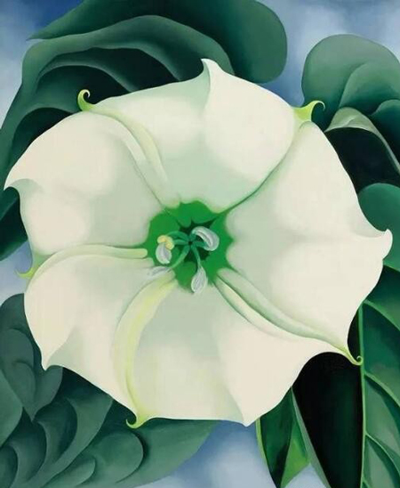 2014年，女性艺术家乔治亚·欧姬芙（1887-1986）名作《曼陀罗 白花1号》