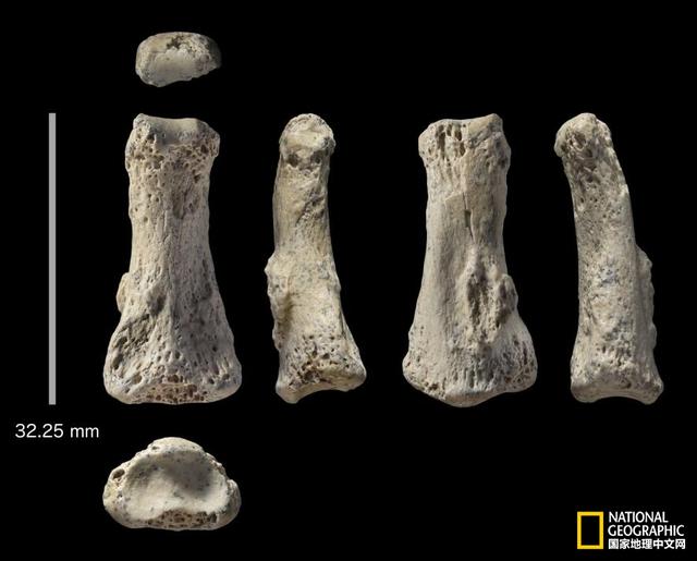 人类何时离开非洲？让88000年前的手指骨告诉你