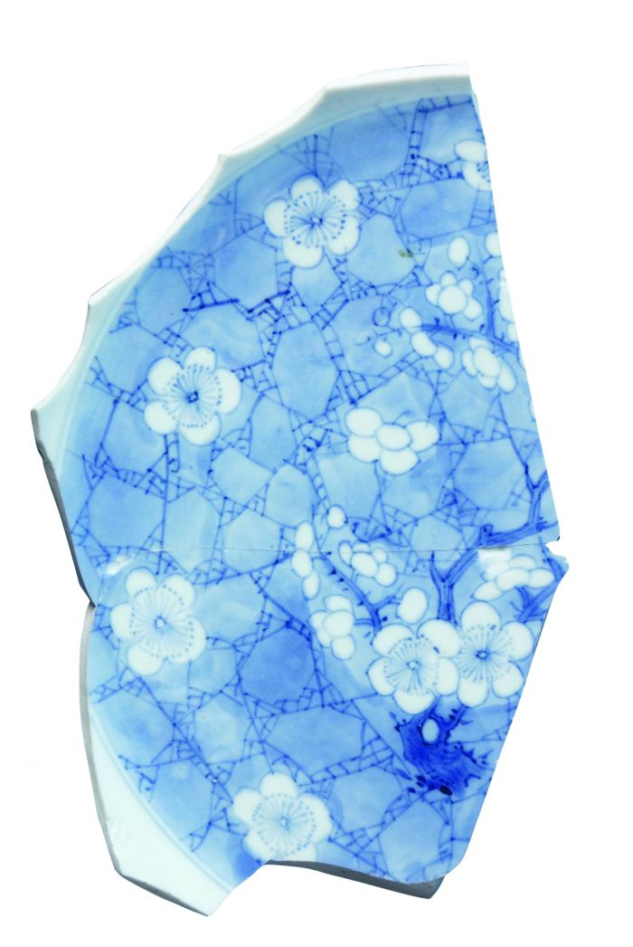 图1 蓝地白花