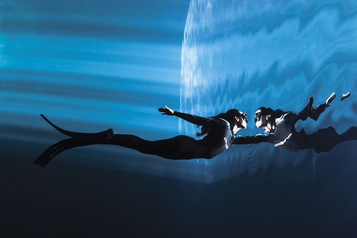 underwater-photography-contest-2018-winners-scuba-diving-magazine-6