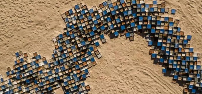 “DESERT X ALULA”：沙漠中的艺术展