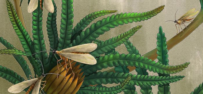 在一亿年前琥珀中窥探昆虫长口器起源 