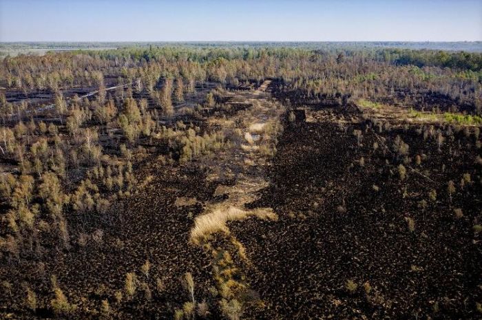 荷兰大佩尔国家公园（De Peel Nature Park）发生森林大火，这场森林火灾是荷兰历史上规模最大的一次林火灾害，迄今已延烧4天，至少400公顷林地被焚毁，超过4200名居民被迫撤离。荷兰空军已调派两架直升机提供支援。（摄影师：Sem van der Wal）