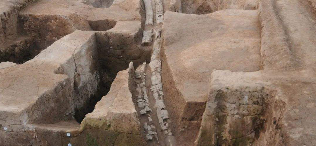 河南灵宝发现6000多年前制陶业特征显著的史前聚落