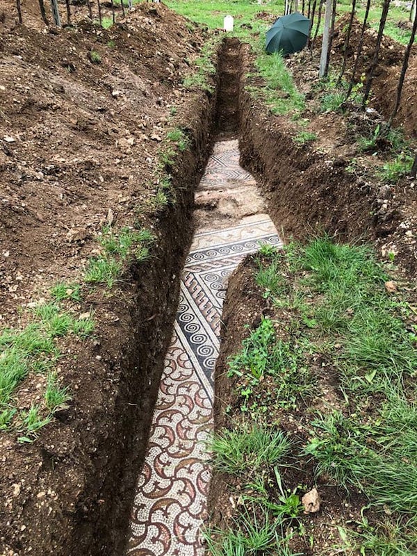 5月26日，考古学家在意大利北部发现了古罗马时期的马赛克地板，不仅细节精美，且保存完好。