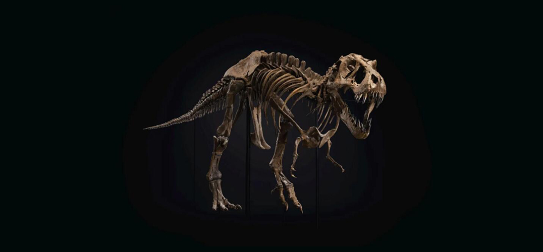 霸王龙化石称霸佳士得纽约二十世纪艺术晚间拍卖