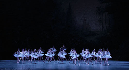 你需要知道的10个世界芭蕾舞团