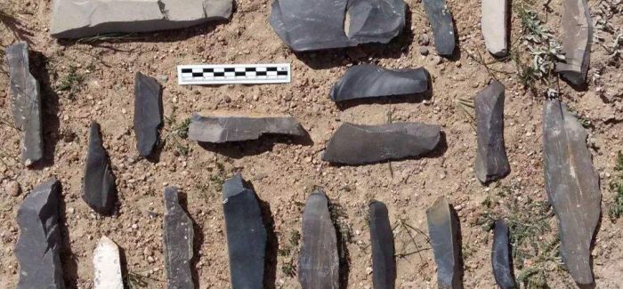江西一处旧石器时代旷野遗址出土5000余件石制品