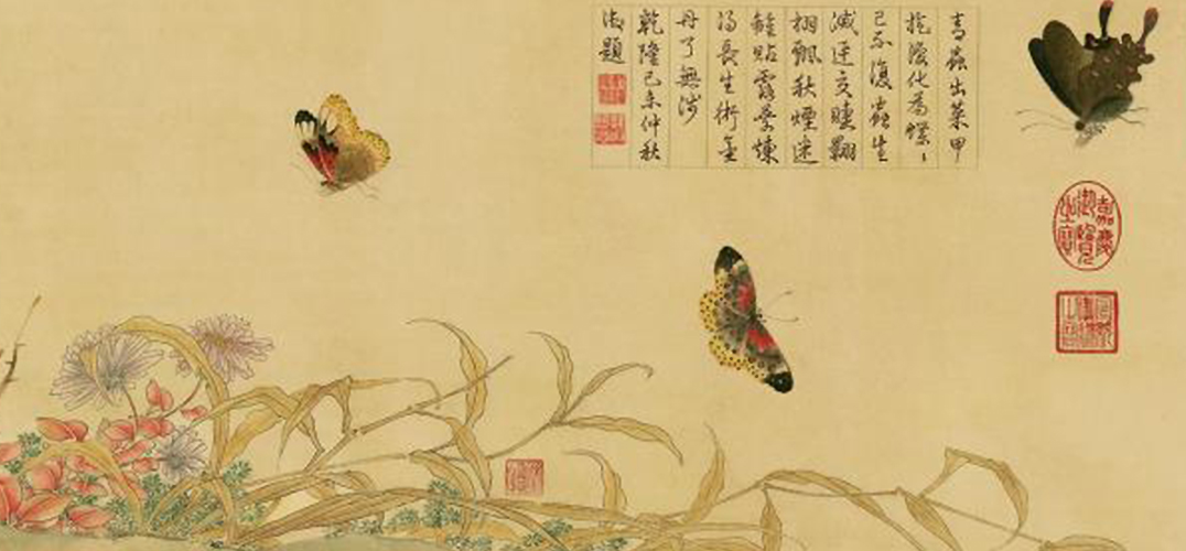 上海博物馆历代绘画馆换展 “鸟语花香”迎新年