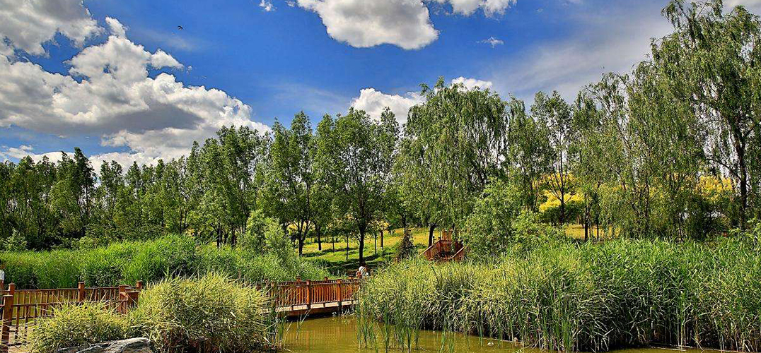 北京的春天到了 这些湿地公园不可错过
