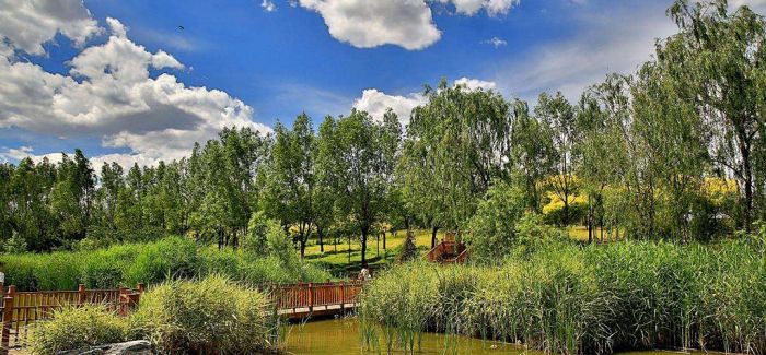 北京的春天到了 这些湿地公园不可错过