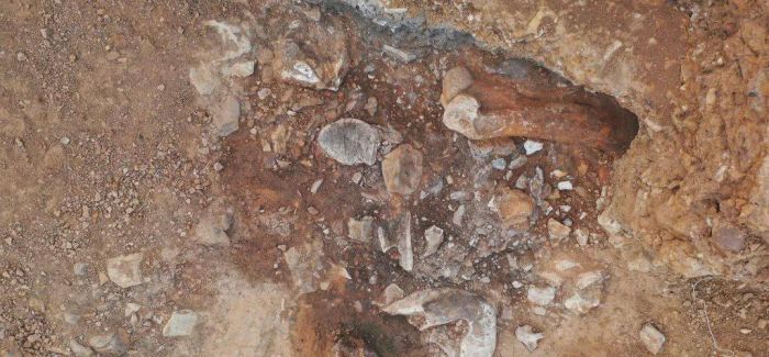 山东跋山遗址发现距今9.9万年象牙铲