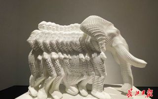 探访武汉双年展：80余组作品在合美术馆撞出创意“火花”