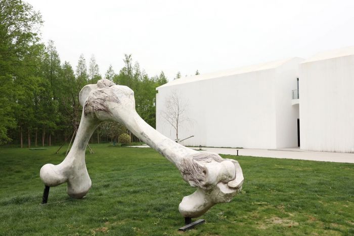 ▲ 盛开——骨头系列，树脂、瓷，300×230×80cm，陈小丹，2008 图片来源：香地艺术中心