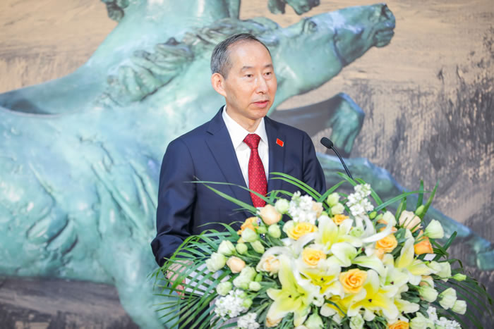 中国国际文化传播中心执行主席龙宇翔致辞
