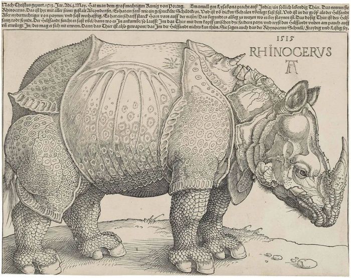 47▲丢勒《犀牛》，1515，木版画